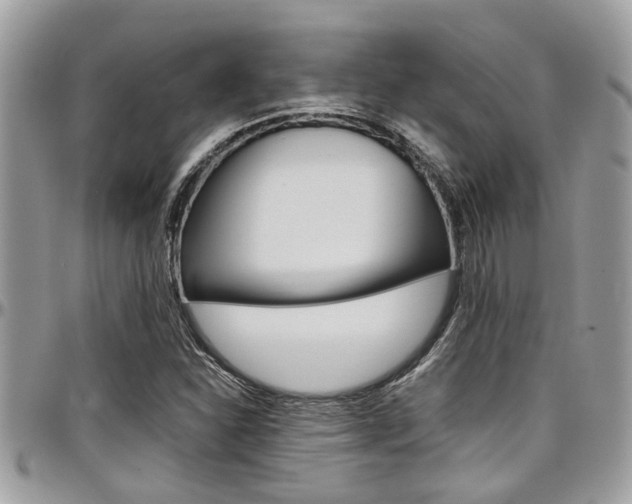 X0000097981310200803241033