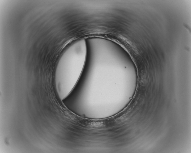 X0000097981313200803241033