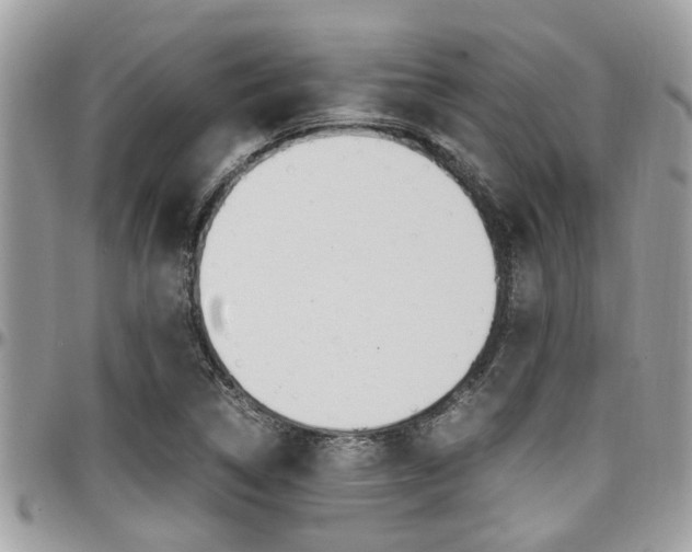 X0000097981314200803241033