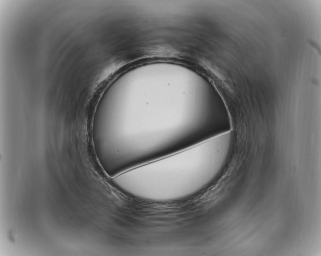 X0000097981315200803241033