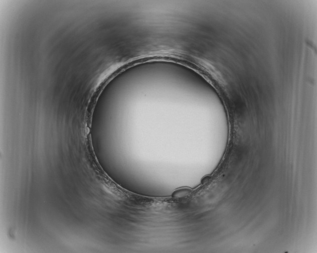 X0000097981316200803241033