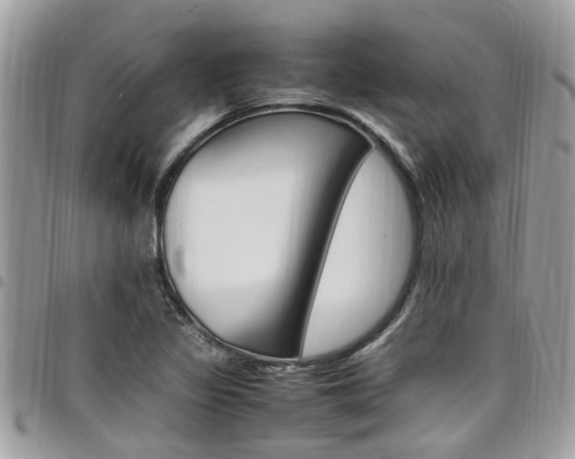 X0000097981317200803241033