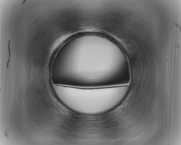 X0000097981319200803241033