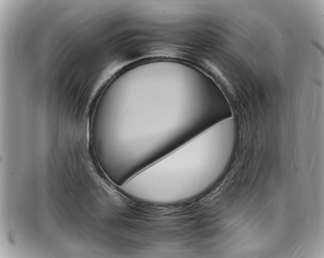 X0000097981323200803241033