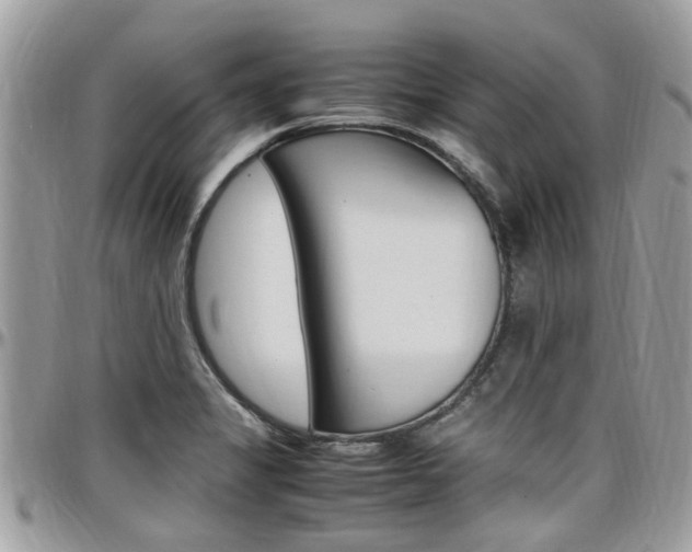 X0000097981325200803241033