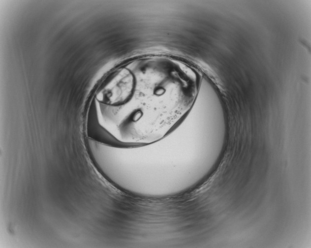 X0000097981326200803241033