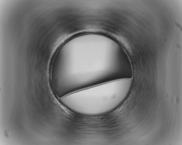 X0000097981327200803241033