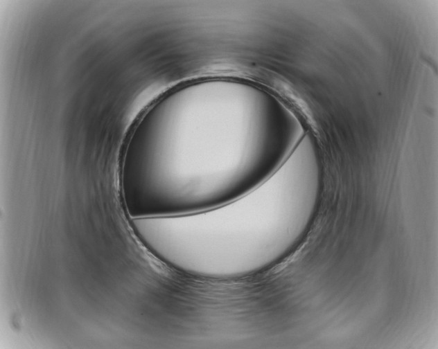X0000097981328200803241033
