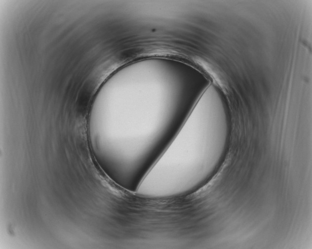 X0000097981329200803241033