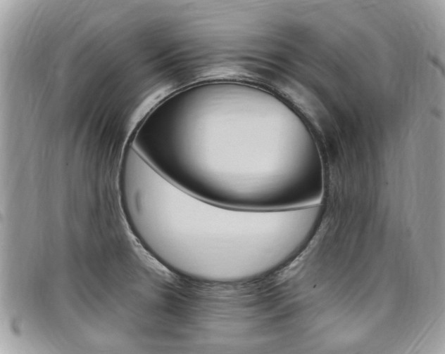 X0000097981330200803241033