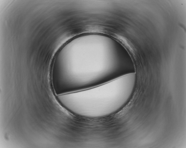 X0000097981331200803241033