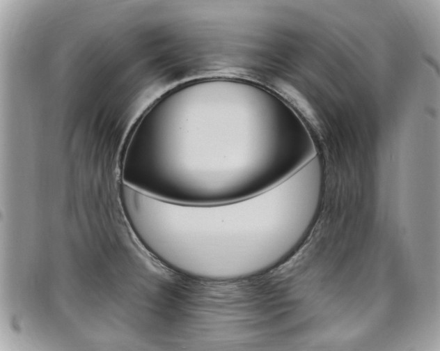 X0000097981332200803241033