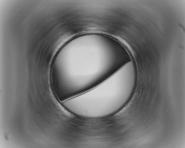 X0000097981333200803241033