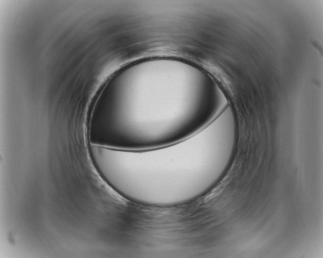 X0000097981334200803241033