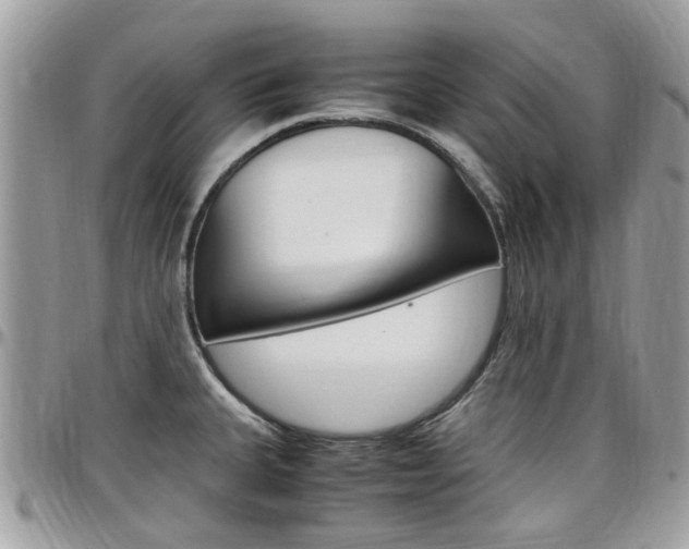 X0000097981335200803241033