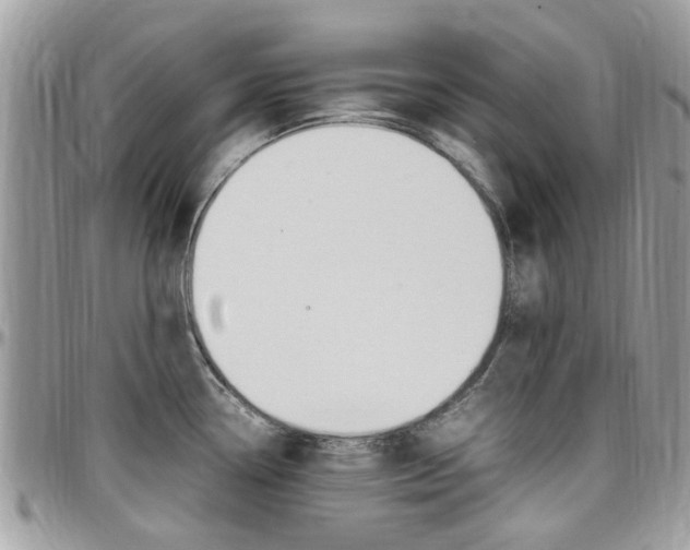 X0000097981338200803241033