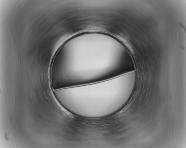 X0000097981343200803241033