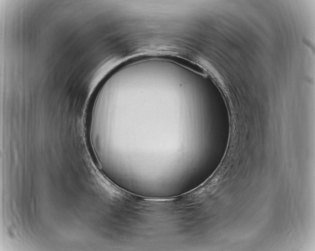 X0000097981344200803241033