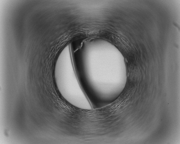 X0000097981345200803241032