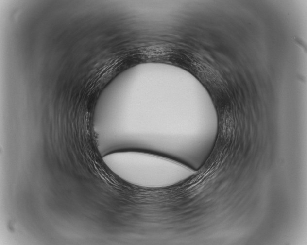 X0000097981346200803241032