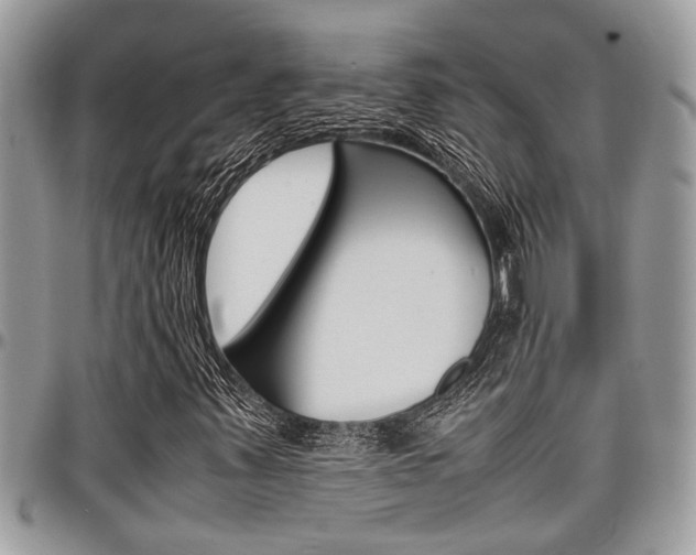 X0000097981347200803241032
