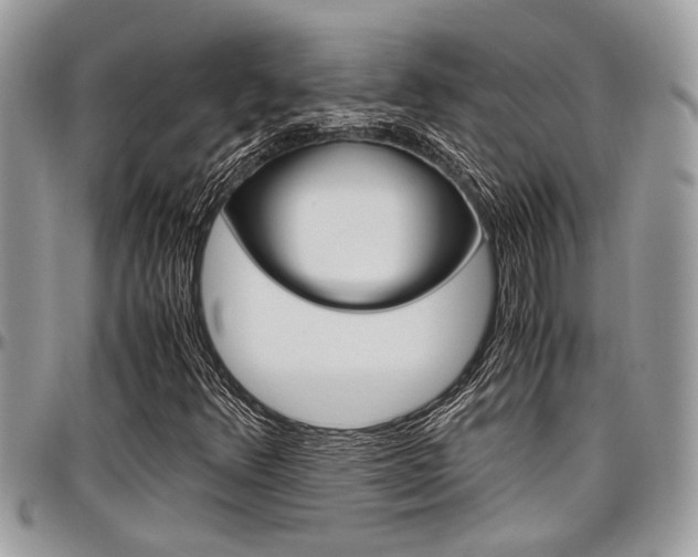 X0000097981348200803241032