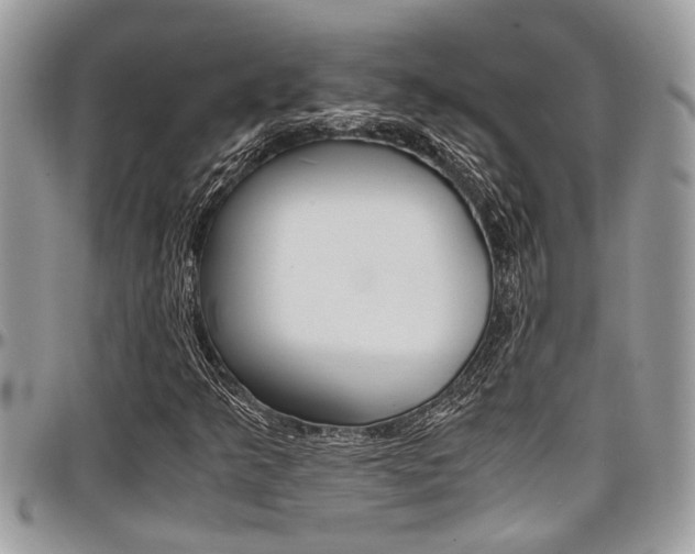 X0000097981349200803241032