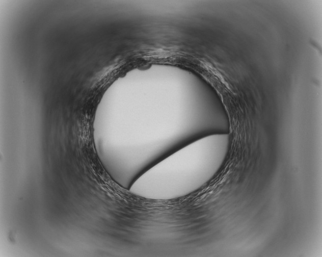 X0000097981350200803241032