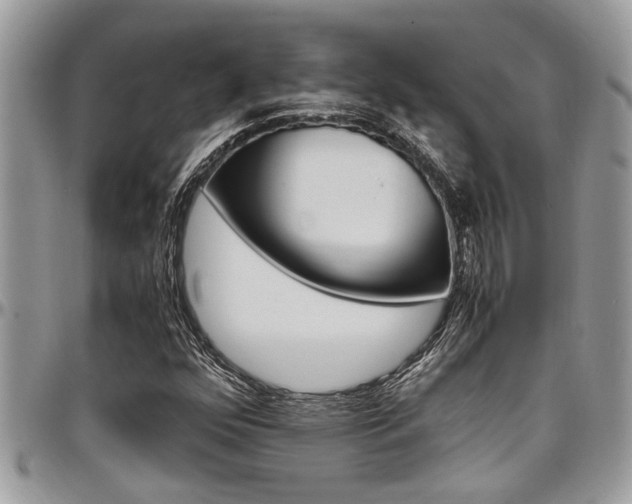 X0000097981352200803241032