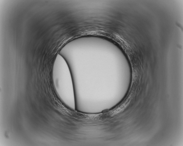 X0000097981353200803241032