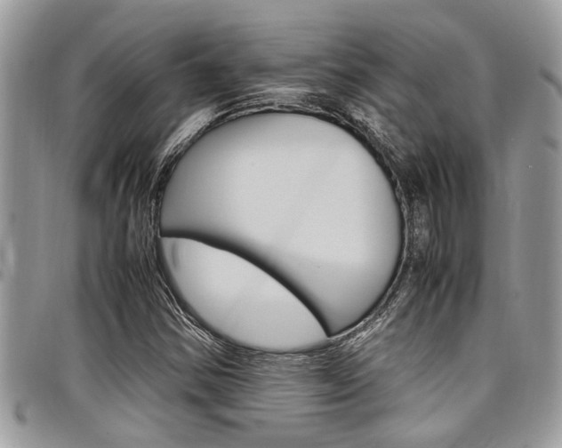 X0000097981354200803241032