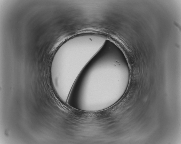 X0000097981355200803241032