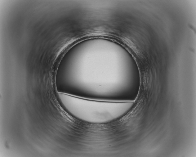 X0000097981356200803241032