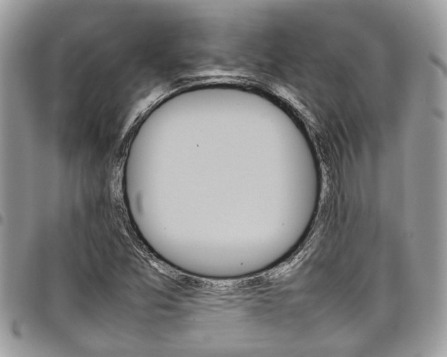 X0000097981357200803241032