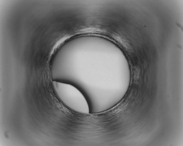 X0000097981358200803241032