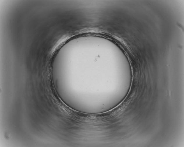 X0000097981359200803241032