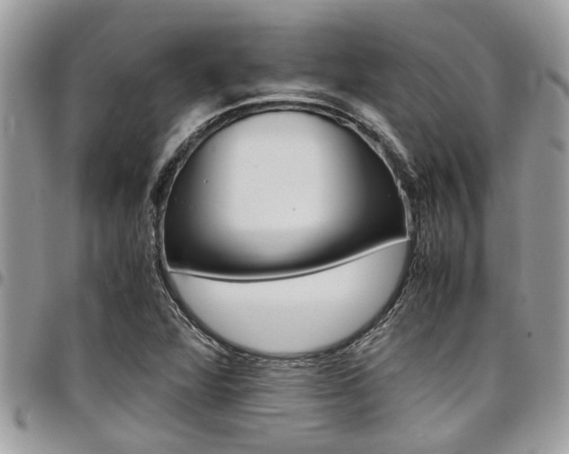X0000097981360200803241032