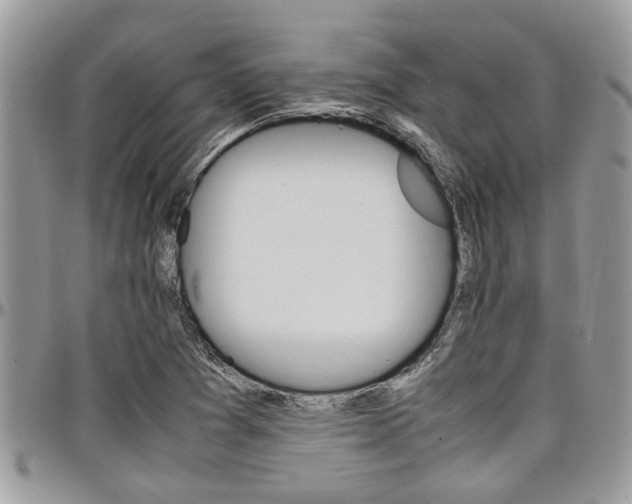 X0000097981361200803241032