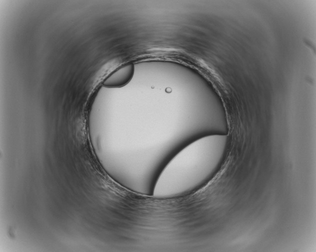 X0000097981362200803241032