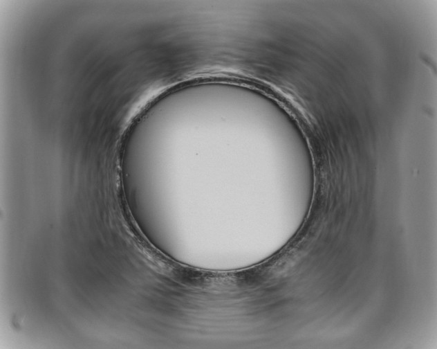 X0000097981363200803241032