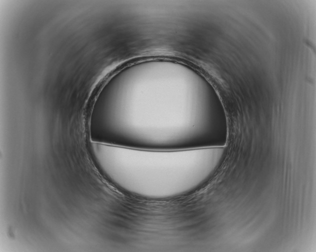 X0000097981364200803241032