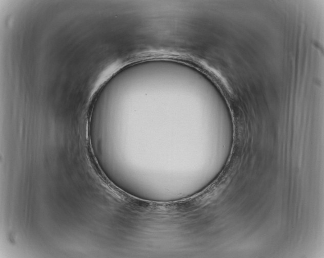 X0000097981365200803241032