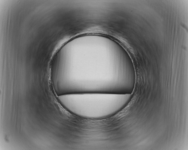 X0000097981366200803241032
