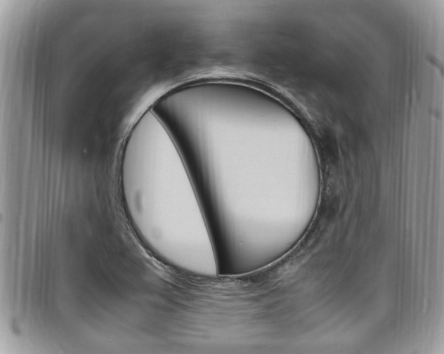 X0000097981367200803241032