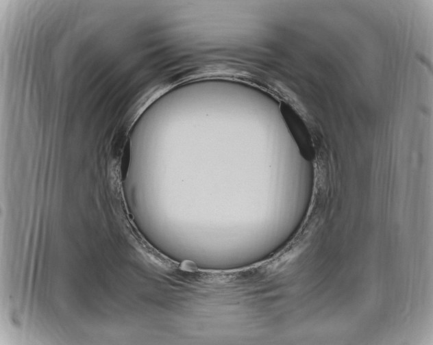 X0000097981369200803241032