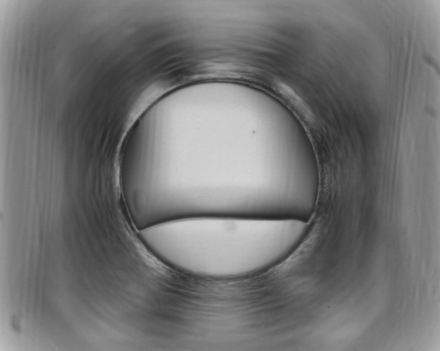 X0000097981370200803241032