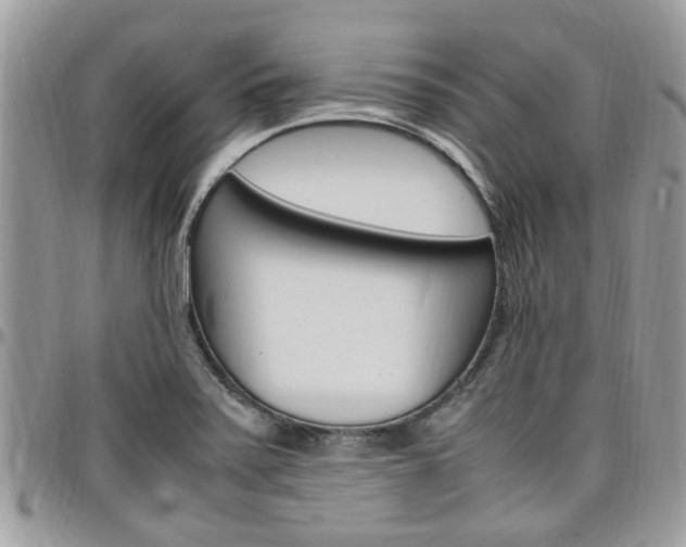 X0000097981371200803241032
