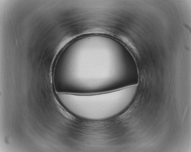 X0000097981372200803241032