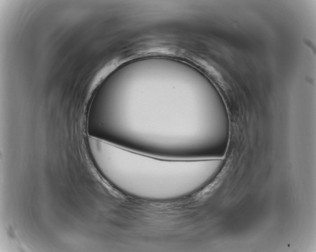 X0000097981373200803241032