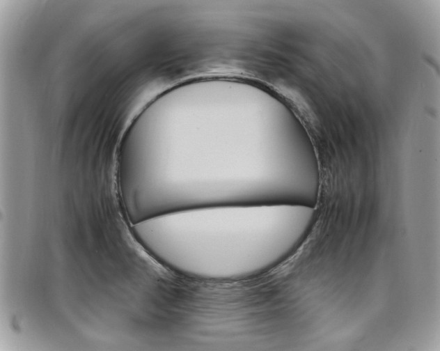 X0000097981374200803241032